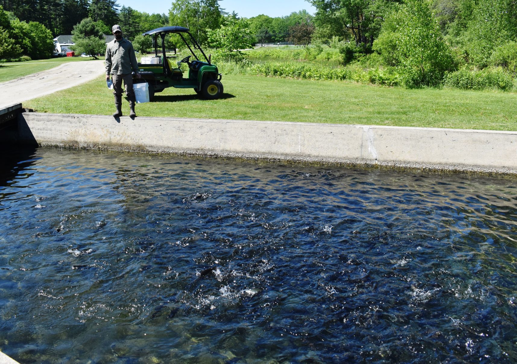 Warren State Hatchery fish stocking